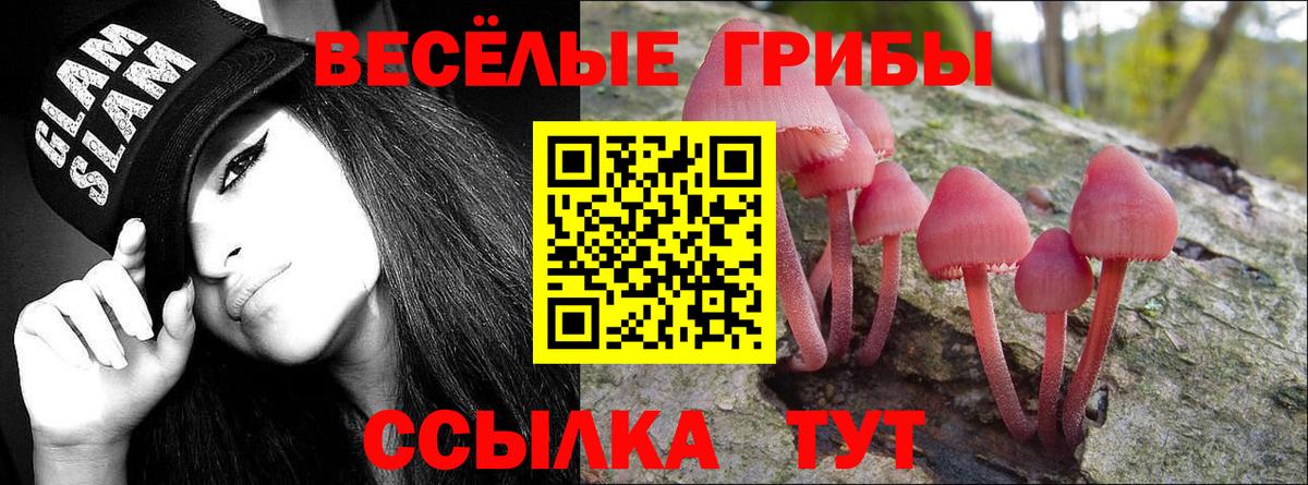 Псилоцибиновые грибы MAGIC MUSHROOMS  Вход с VPN  Усть-Лабинск 